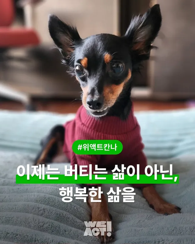 이제는 버티는 삶이 아닌, 행복한 삶을