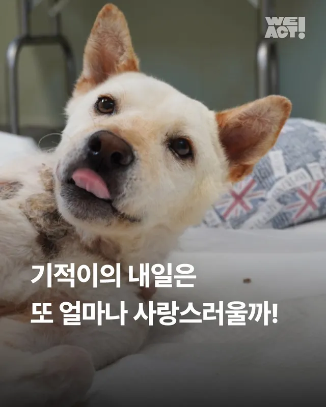 기적이의 내일은 또 얼마나 사랑스러울까