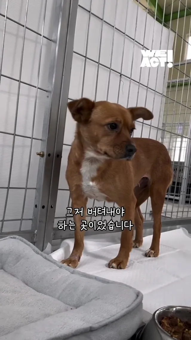 절대 일어나지 않을 것 같던 일이 이루어진 적 있나요?