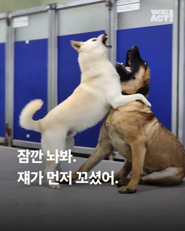 잠깐 놔봐 쟤가 먼저 꼬셨어