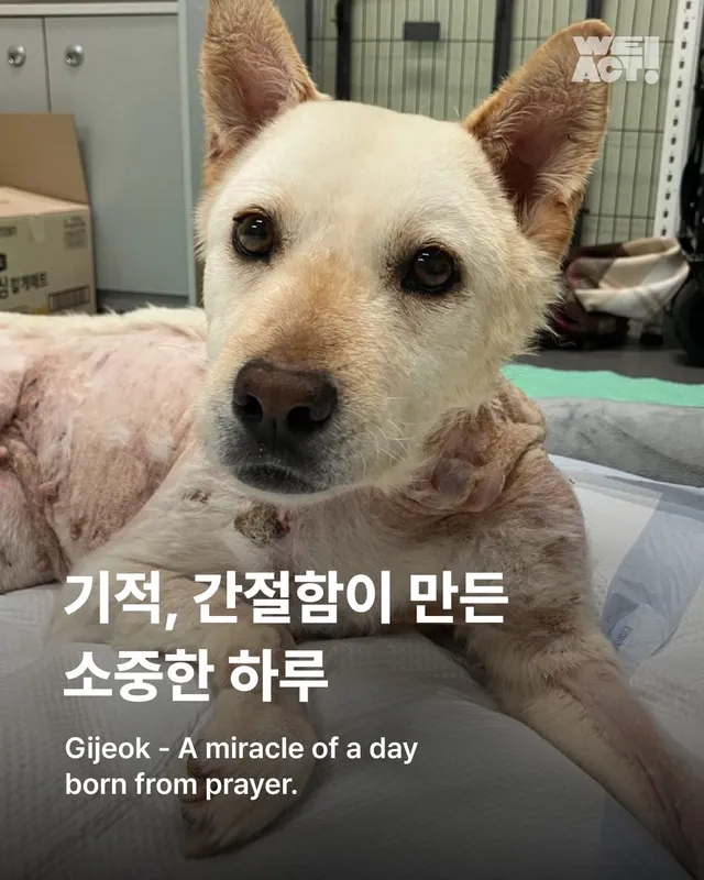 기적, 간절함이 만든 소중한 하루
