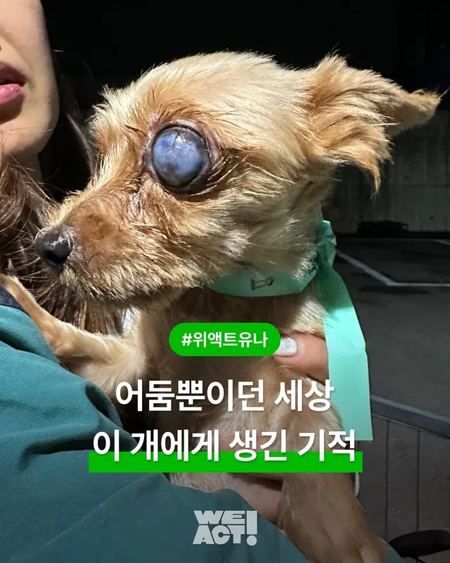 부산 개백화점, 위액트 유나
