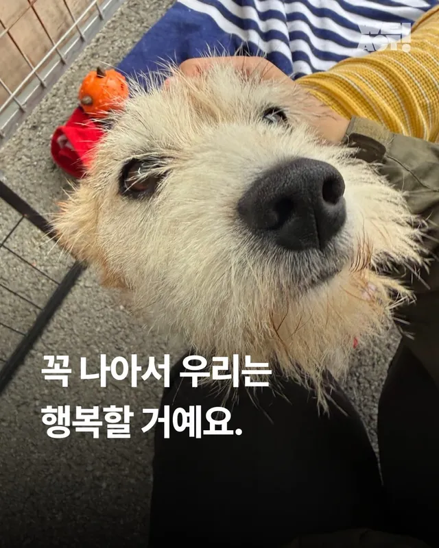 꼭 나아서 우리는 행복할 거예요.