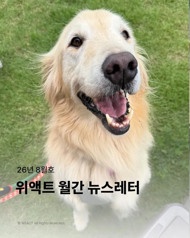 위액트 8월호 월간 뉴스레터