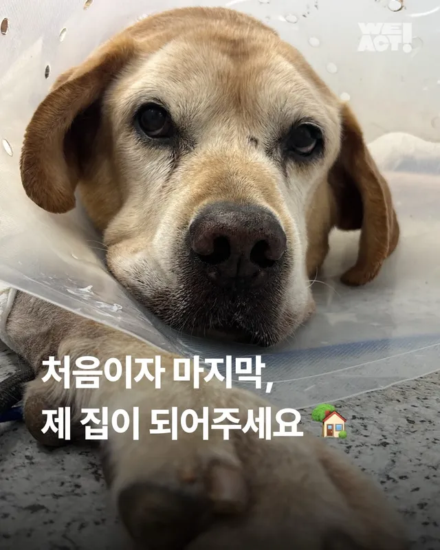 처음이자 마지막, 제 집이 되어주세요