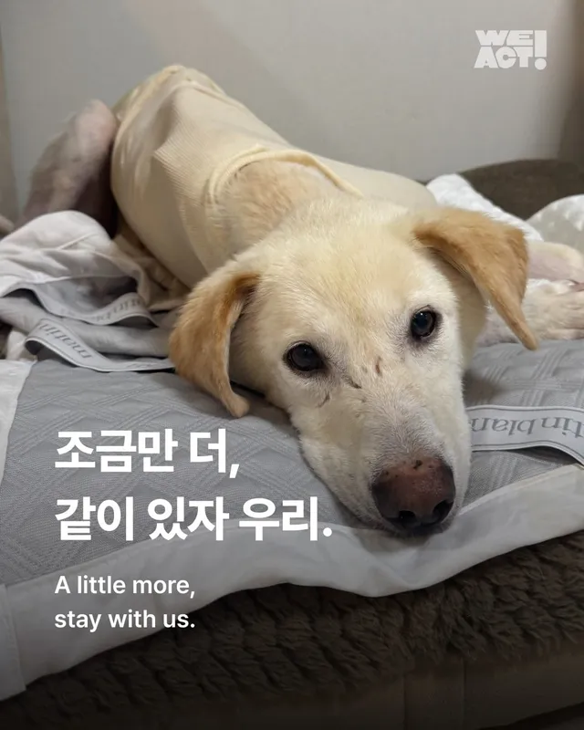 조금만 더, 우리 같이 있자
