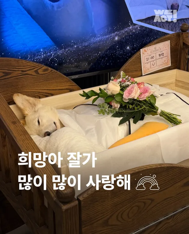 희망아 잘가 많이많이 사랑해