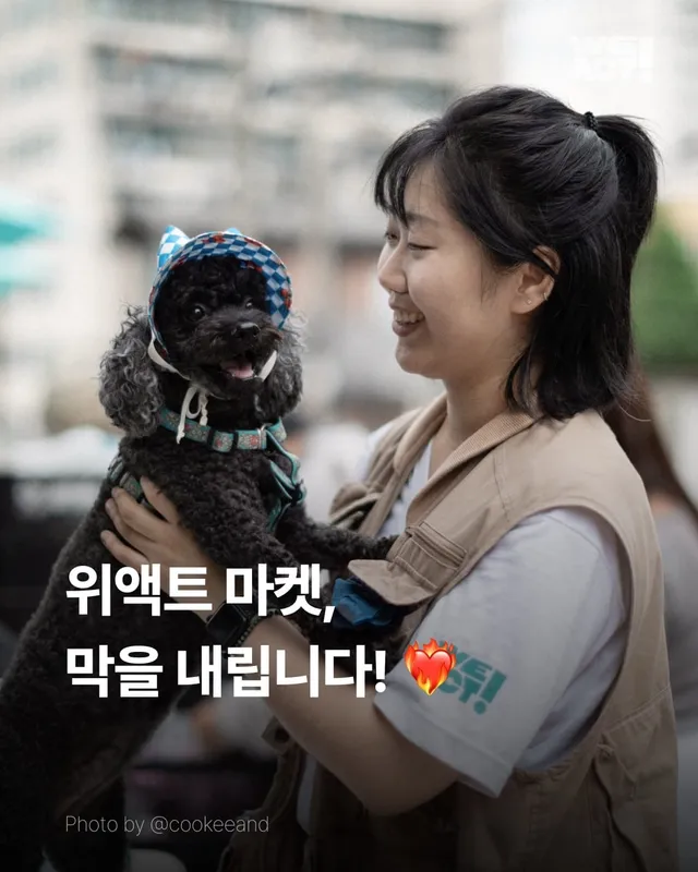 위액트 마켓 막을 내립니다