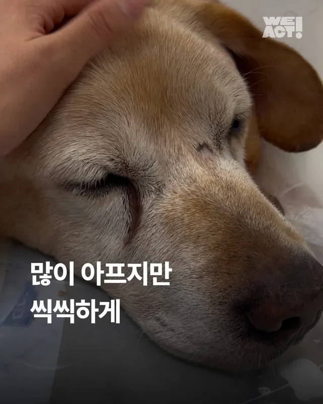 많이 아프지만 씩씩하게