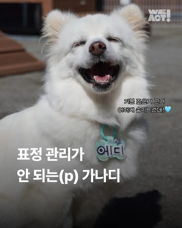 표정관리가 안되는(p) 가나디