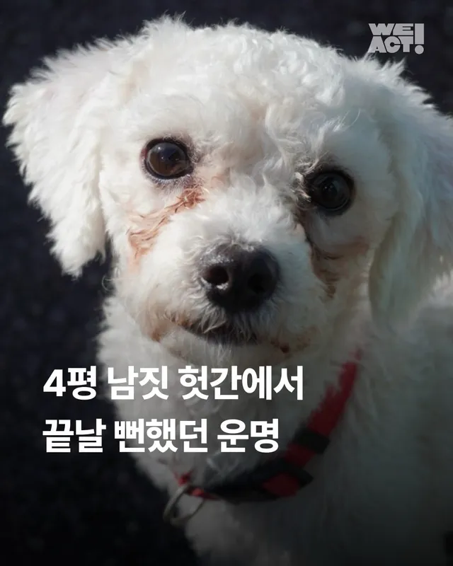 4평 남짓 헛간에서 끝날 뻔했던 운명