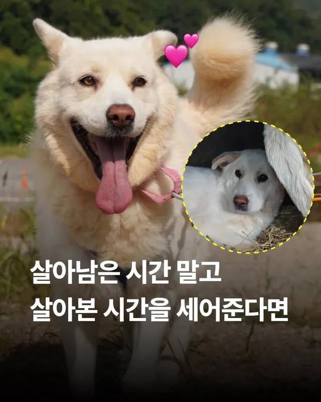 살아남은 시간 말고, 살아본 시간을 세어준다면