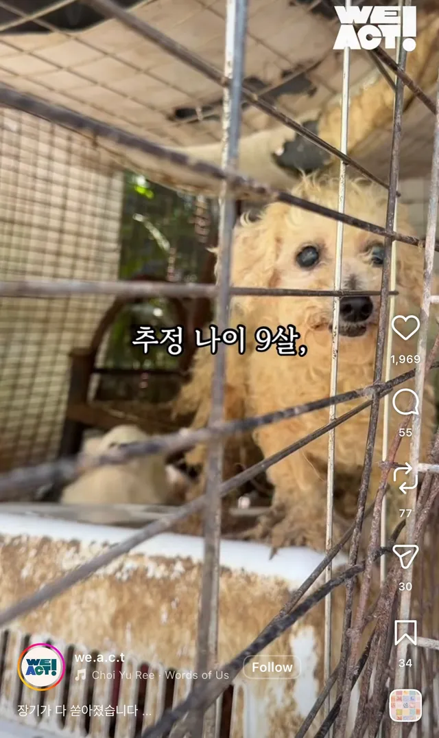 장기가 다 쏟아졌습니다...