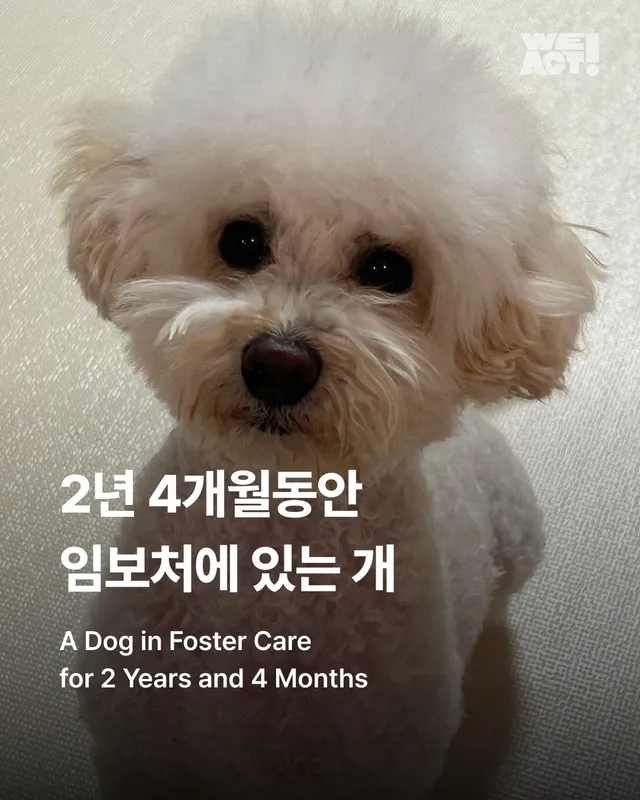 2년 4개월동안 임보처에 있는 개