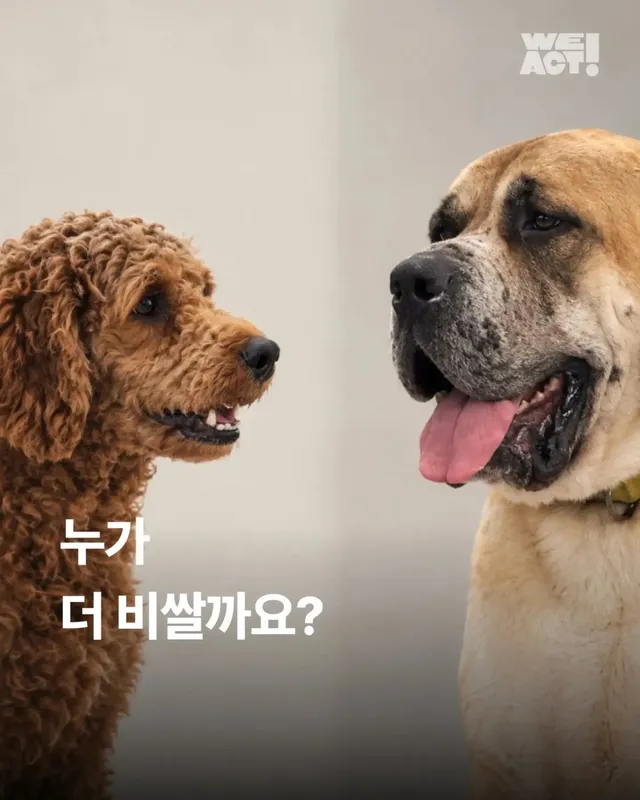 작을수록 비싼 곳과, 클수록 비싼 곳.