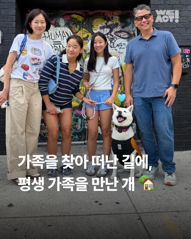 가족을 찾아 떠난 길에, 평생 가족을 만난 개
