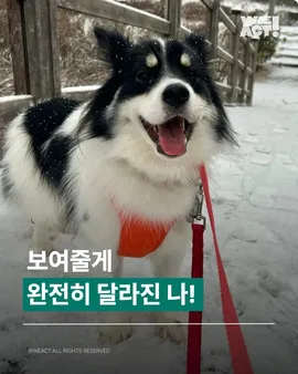 터그의 눈부신 변화! ✨