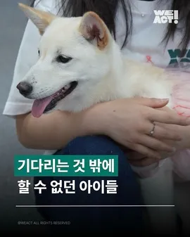 2025 WEACT 입양 파티
