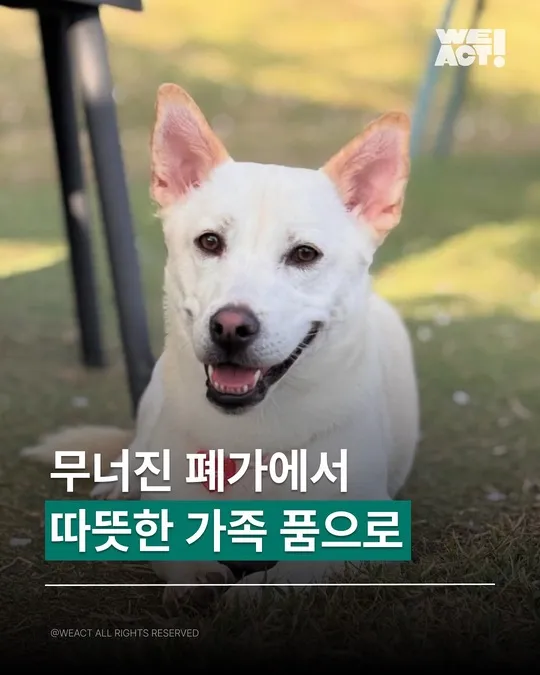 무너진 폐가에서, 따뜻한 가족 품으로