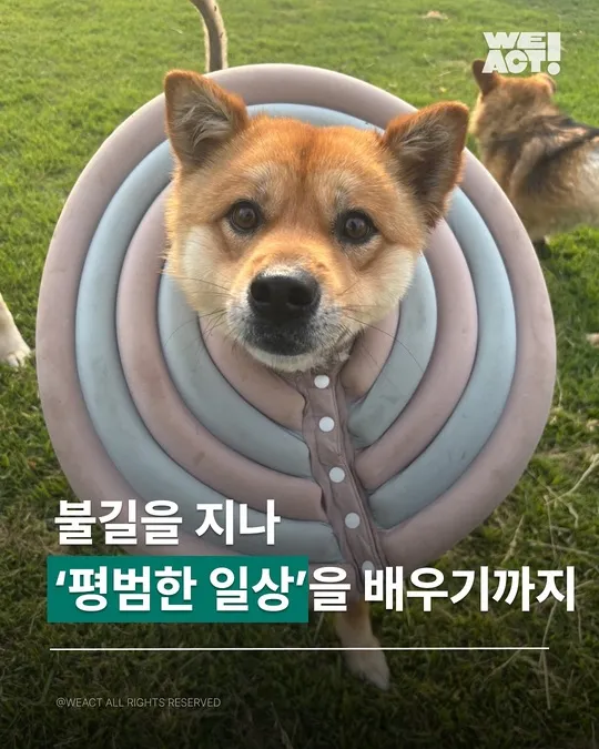 경북산불구조-위액트 아루