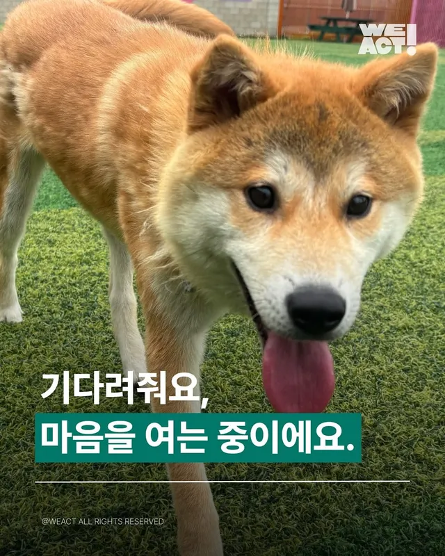 기다려줘요, 마음을 여는 중이에요.