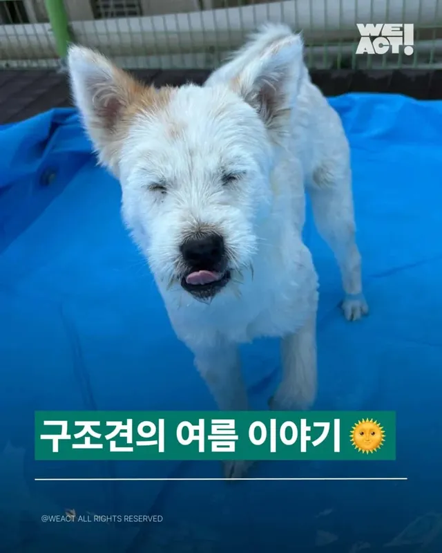 안성 임시센터 여름 물놀이