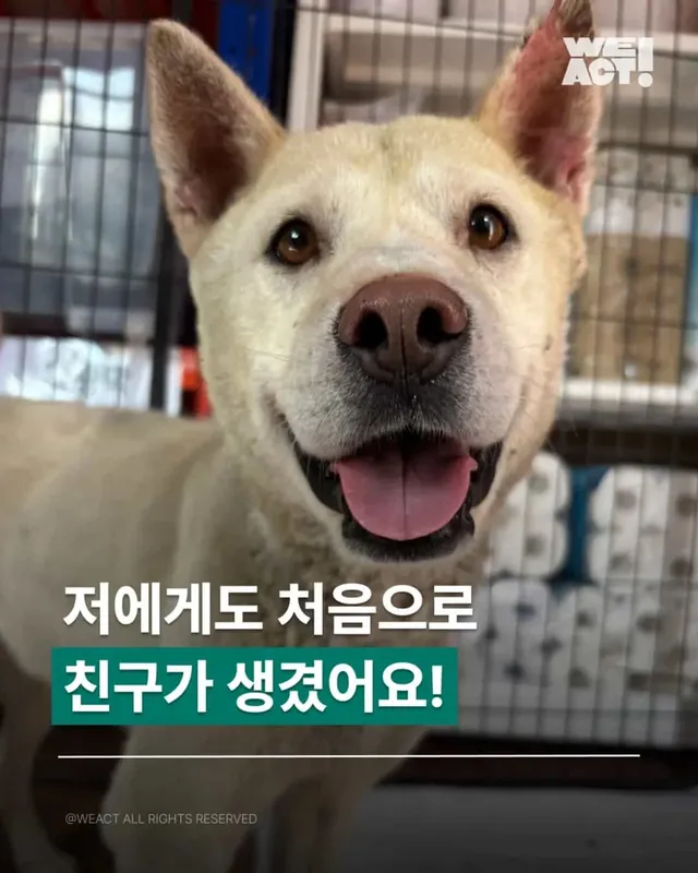친구라는 단어가 생긴 날의 이야기