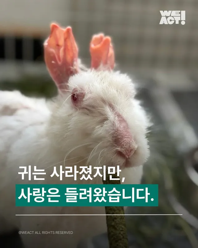 경북산불구조 - 위액트 프릴