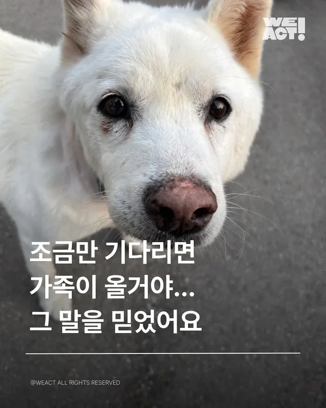 위액트베티, 위액트스캇, 위액트마니, 위액트버트, 위액트쏘야