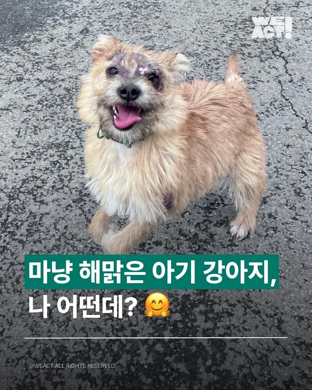 경북산불구조-위액트아라