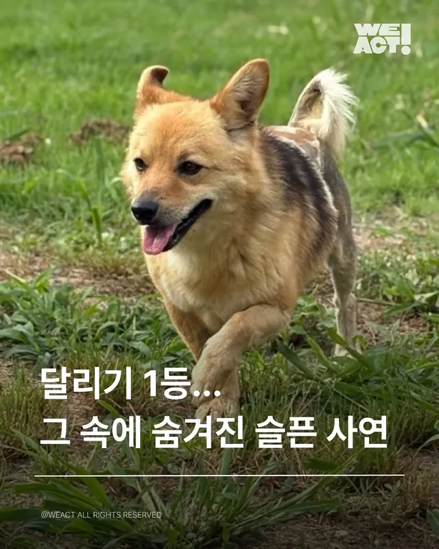 경북산불구조-위액트로다