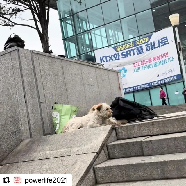 서울역아이들