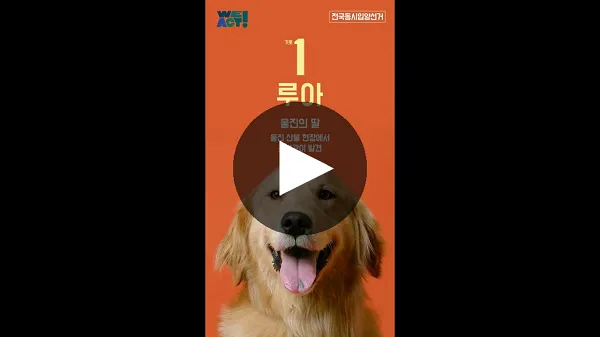 6.1지방선거 다음은 7.1입양선거, 구조견 입양 캠페인 <전국동시입양선거> 열려