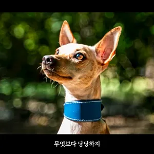 전국적으로 지지 열기 후끈한 <전국동시입양선거>,  "당신의 선택은?”