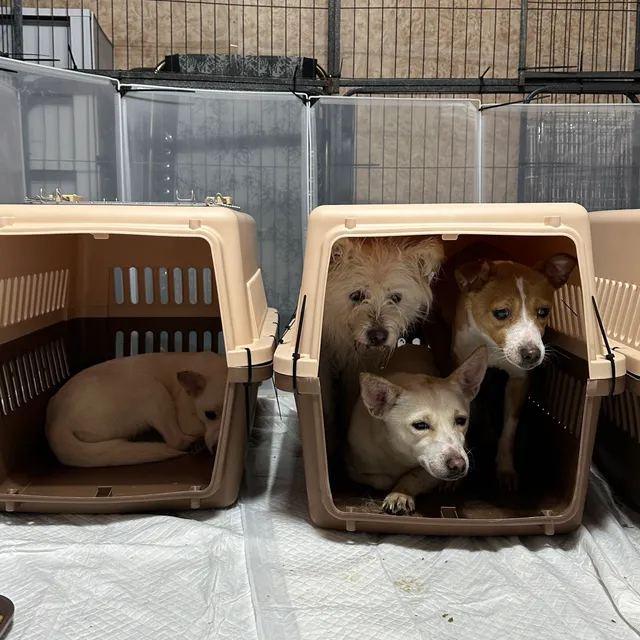 세이버즈 2차구조