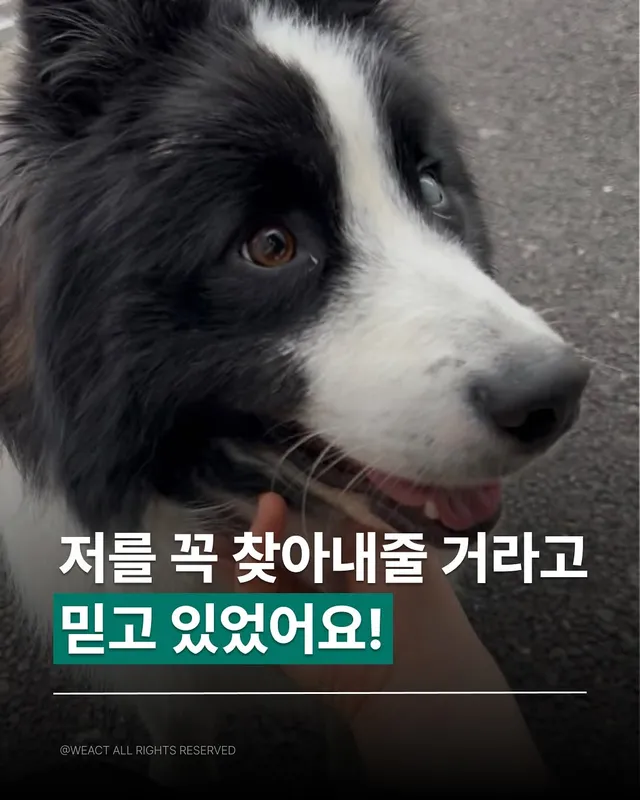 경북 산청, 의성 구조 소식