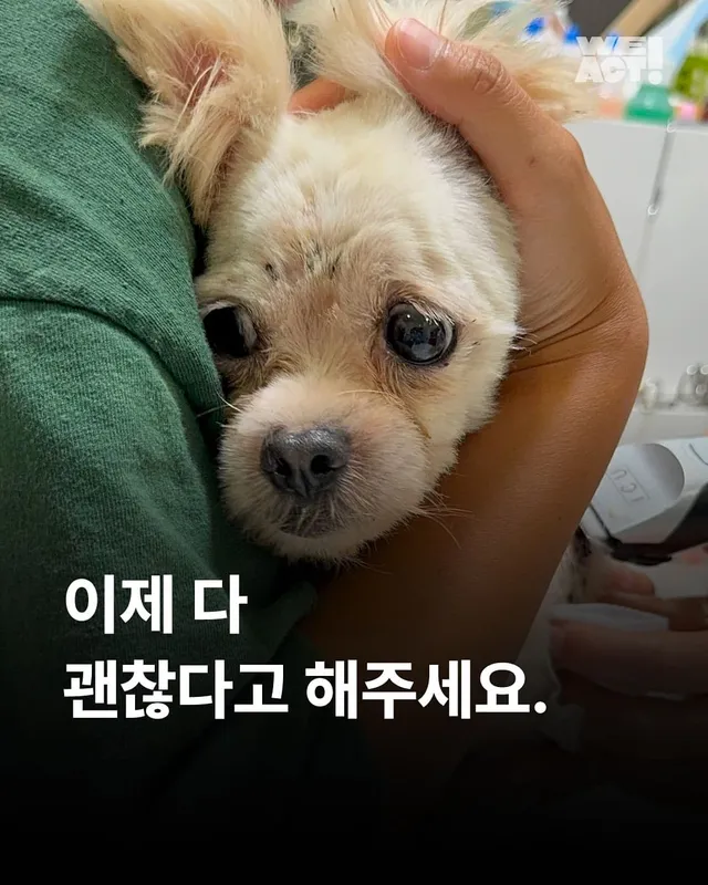 성북구애니멀호더