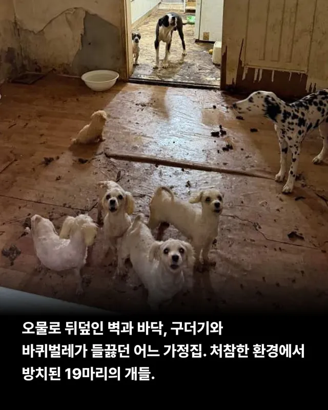 위태로운 생명을 구해낼 힘