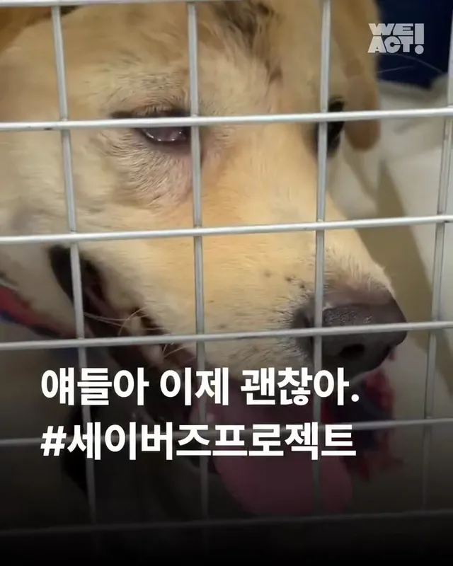 얘들아 이제 괜찮아 #세이버즈프로젝트