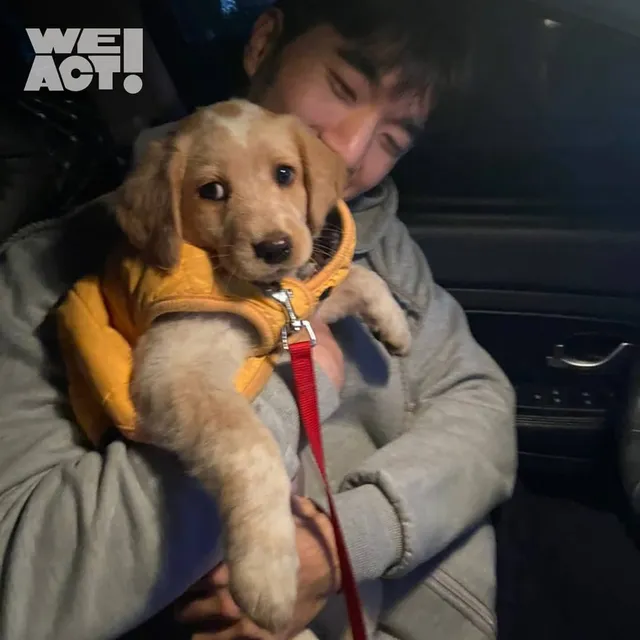 등촌트렁크동물학대
