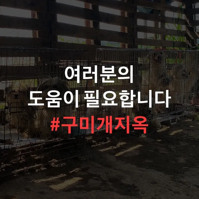 구미개농장_1