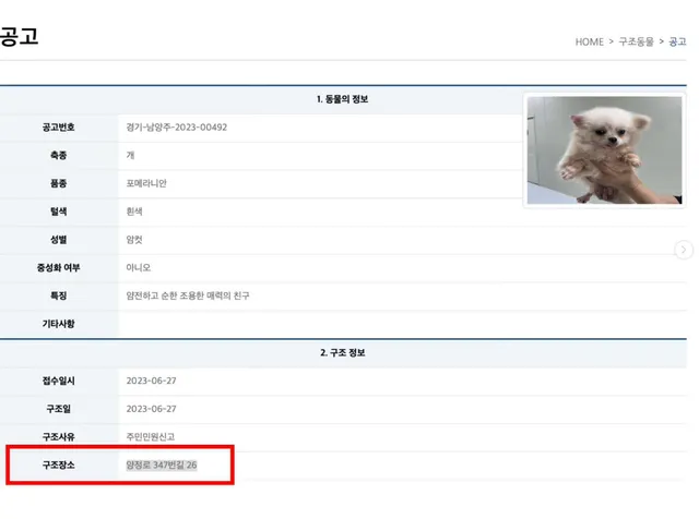 죽은개와사라진개들_3