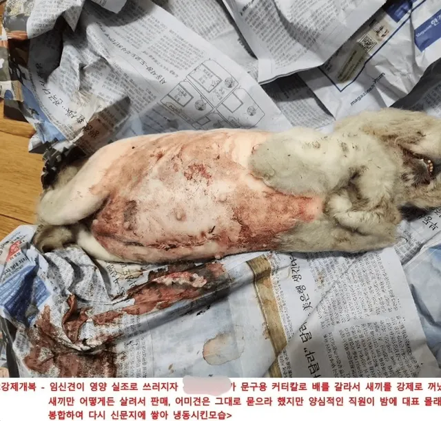 화성허가번식장_1