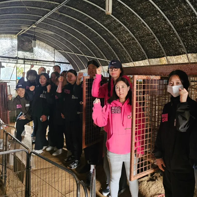 홍성유기견보호소