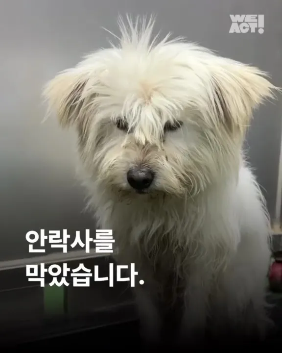 제천시보호소