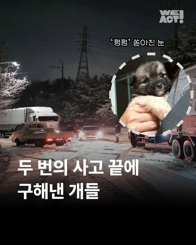 대전방치학대