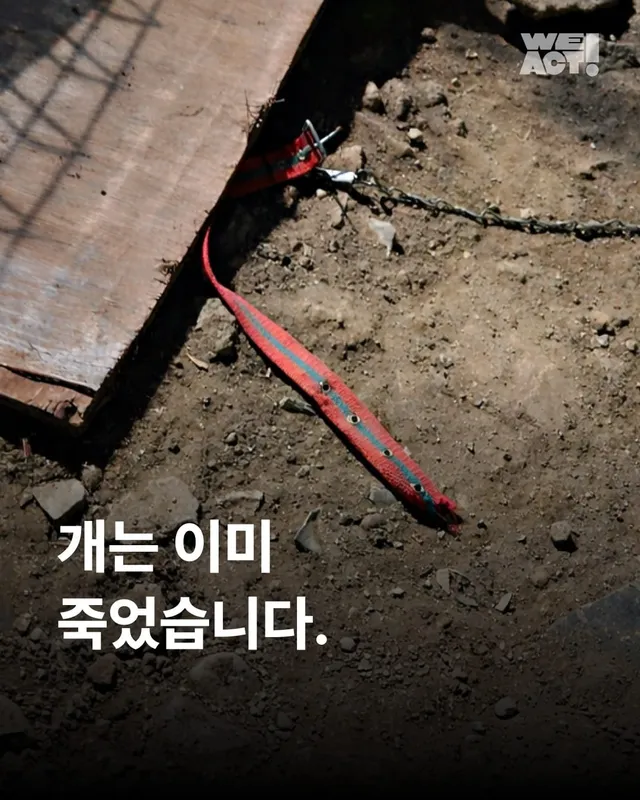 전북익산농어촌지사개도살