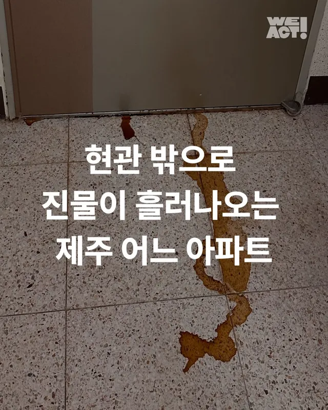제주 쓰레기집
