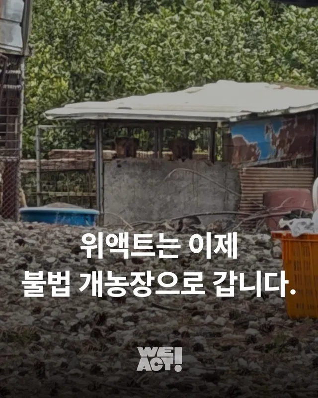 제주 불법개농장