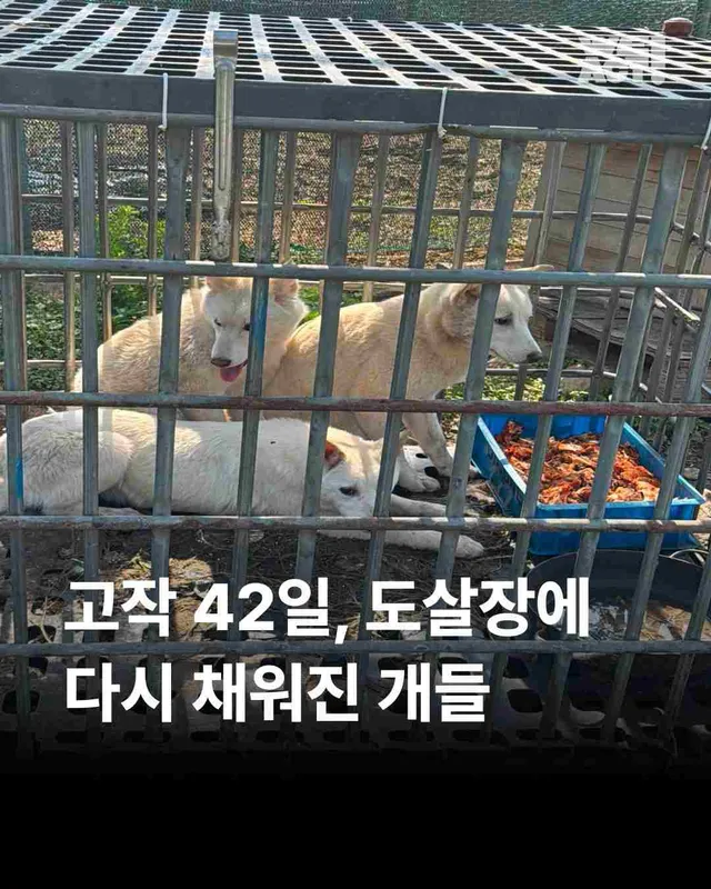 화성봉담개농장2
